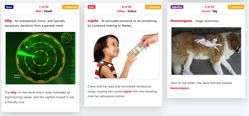Word cards showing definitions, example sentences, and pictures for the chosen group
