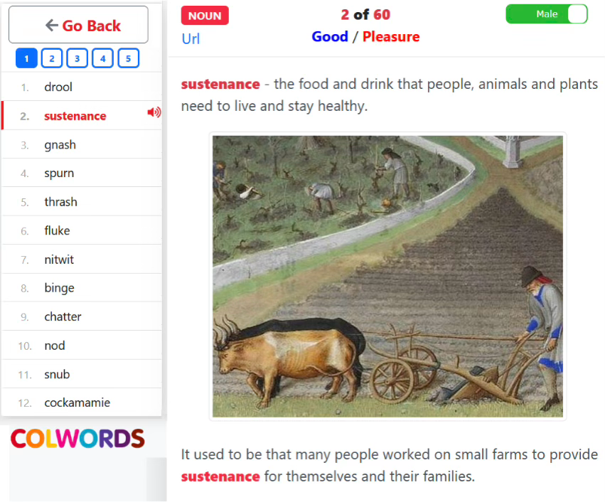 Audio playback of 12 words on the page with male and female voice toggle